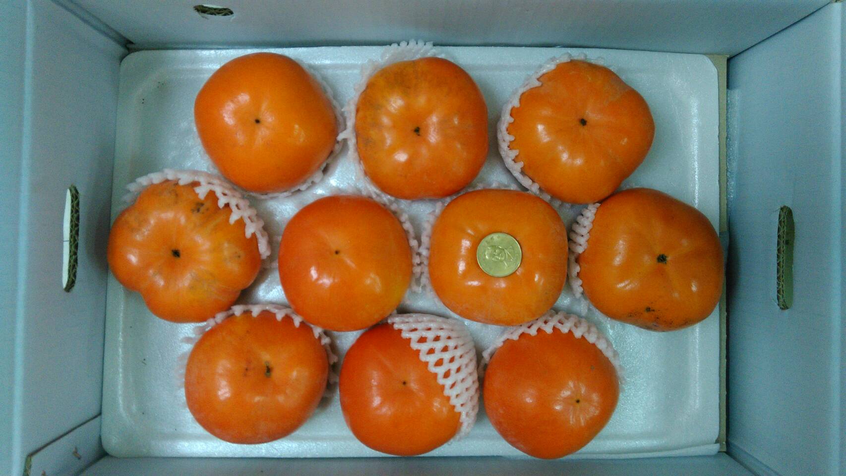 高山甜柿